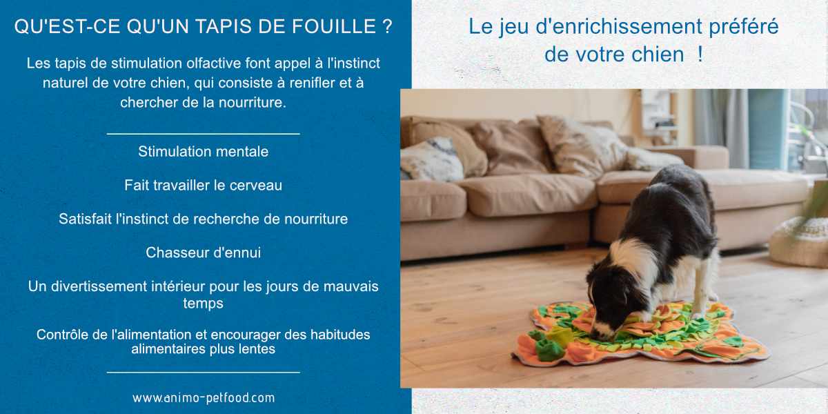 tapis de fouille pour chien